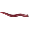 Мягкие приманки LureMax Curly Worm 1,5''/4см, LSCL15-019 Blood Red