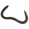 Мягкие приманки LureMax Garden Worm 4''/10см, LSGW4-018 Worm Brown